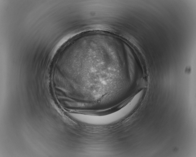 X0000112811024200909111255