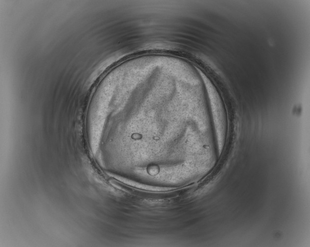 X0000112811025200909111255