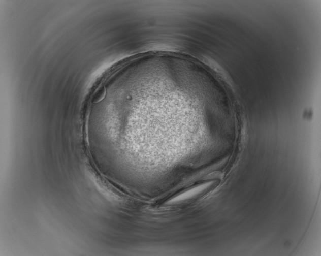 X0000112811027200909111255