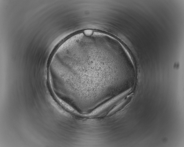 X0000112811028200909111255