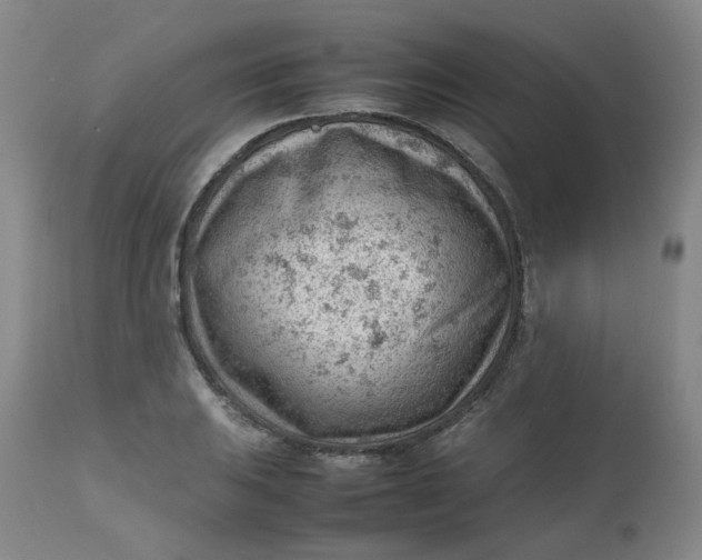 X0000112811031200909111255