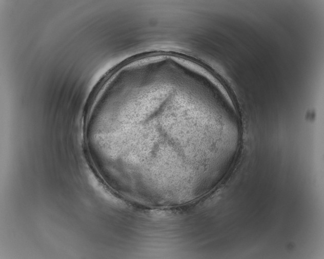 X0000112811032200909111255