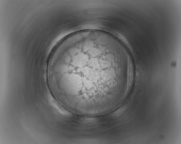 X0000112811035200909111255