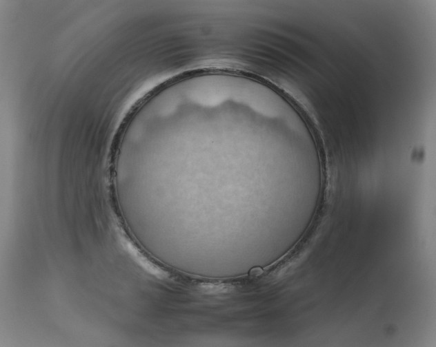 X0000112811037200909111255