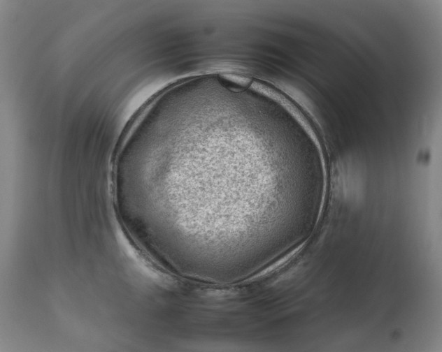 X0000112811047200909111255