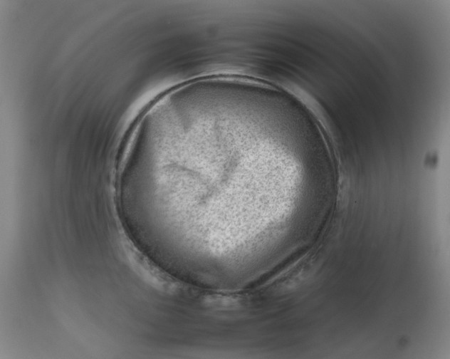 X0000112811051200909111255