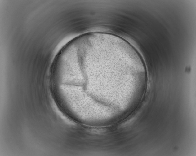 X0000112811053200909111255