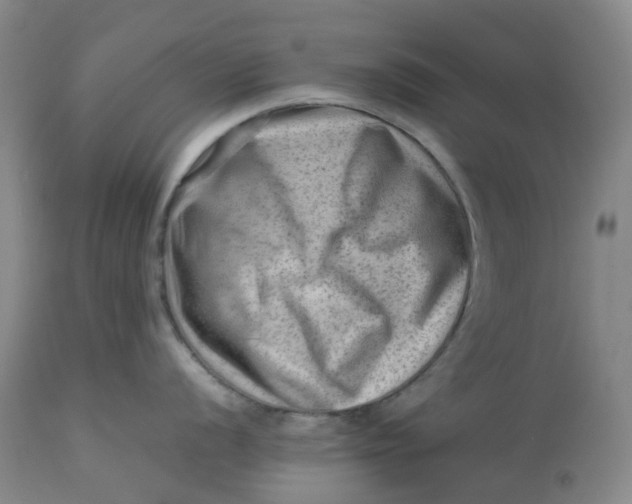 X0000112811056200909111255