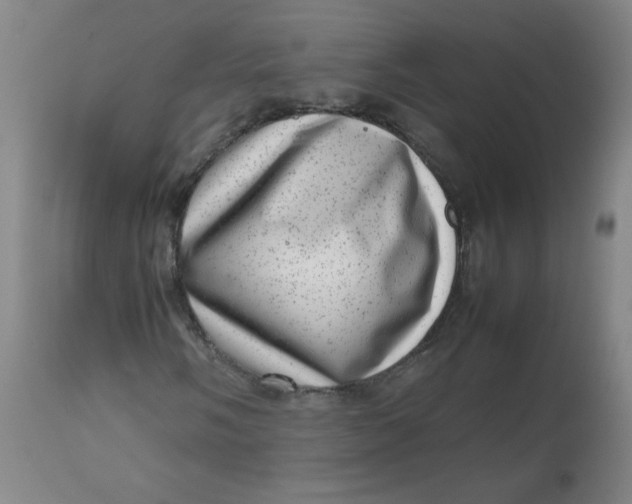 X0000112811058200909111254