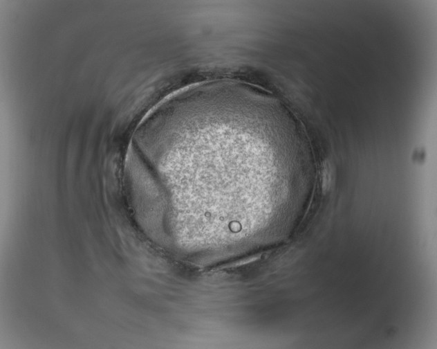 X0000112811059200909111254