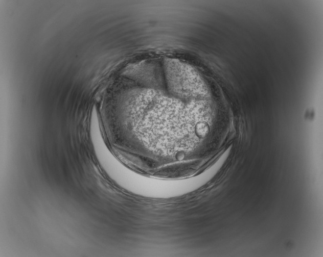 X0000112811060200909111254