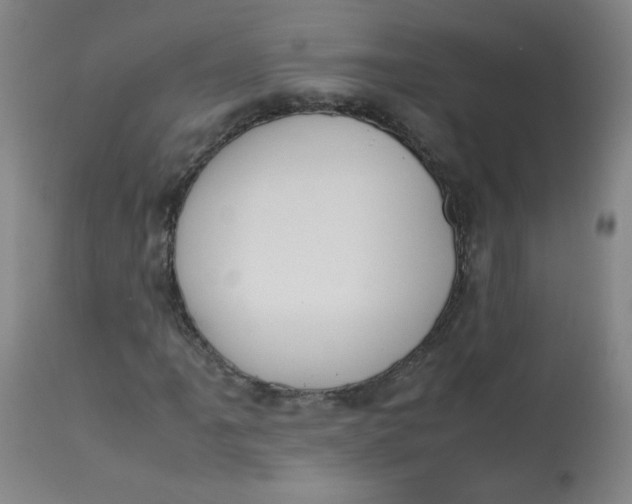 X0000112811061200909111254