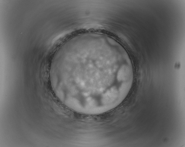 X0000112811063200909111254