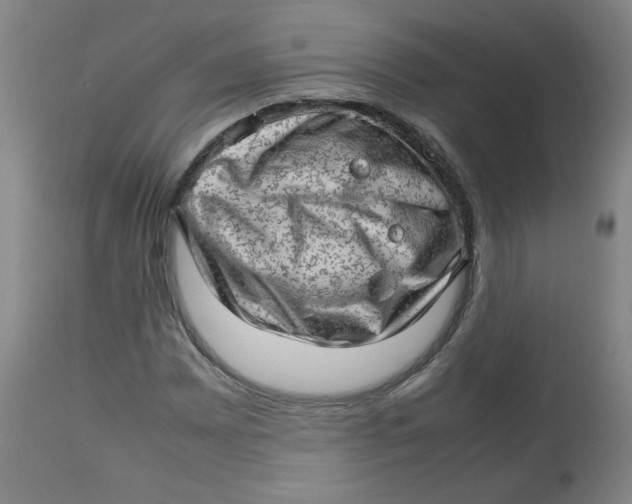 X0000112811065200909111254