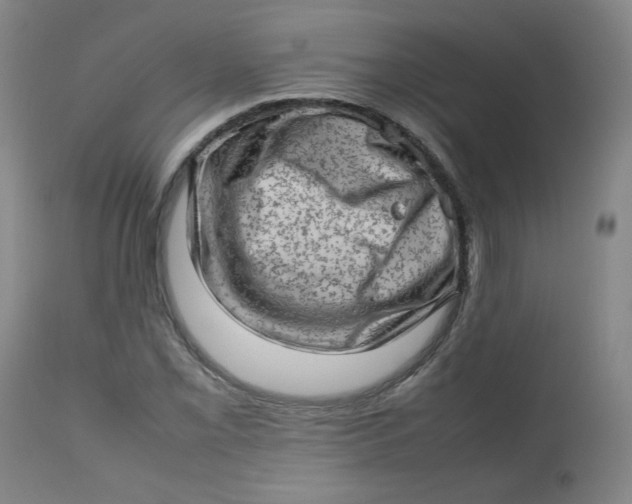 X0000112811069200909111254