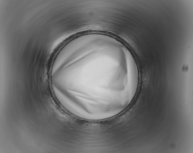 X0000112811070200909111254