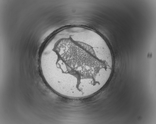 X0000112811071200909111254