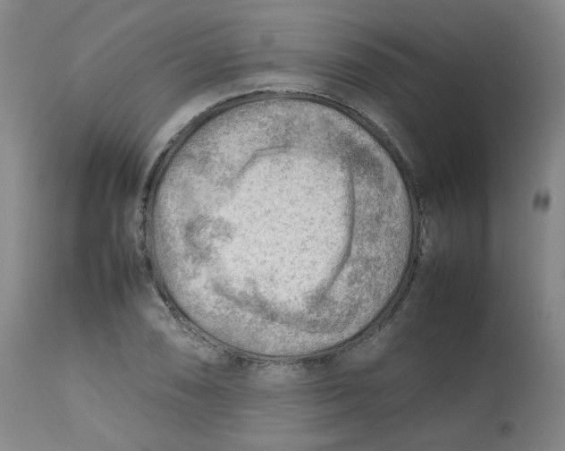 X0000112811074200909111254