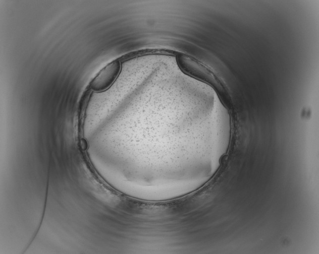 X0000112811076200909111254