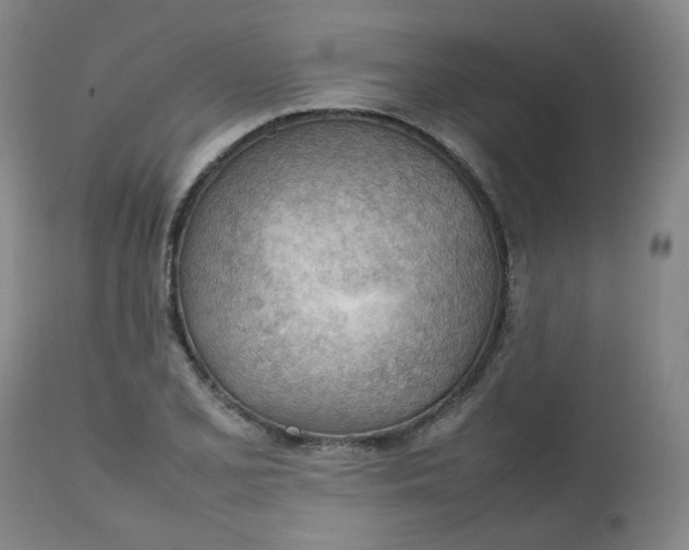 X0000112811077200909111254