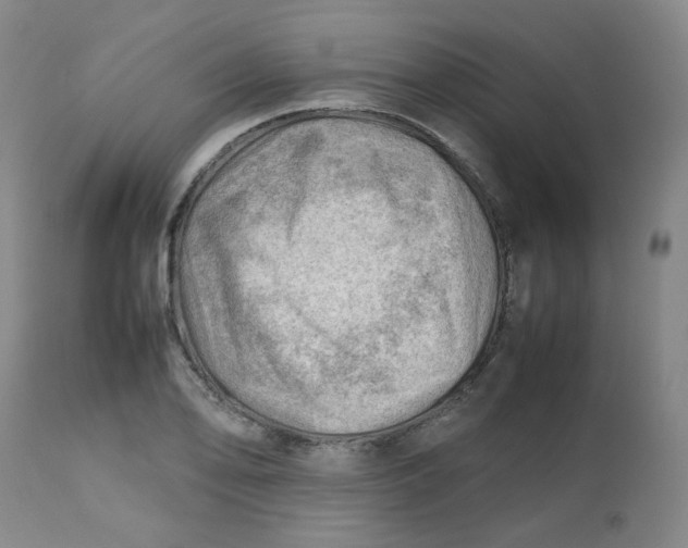 X0000112811078200909111254