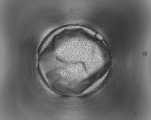 X0000112811079200909111254