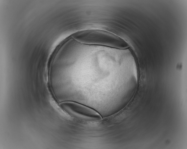 X0000112811080200909111254