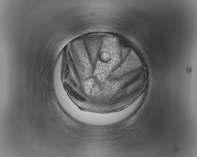 X0000112811081200909111254