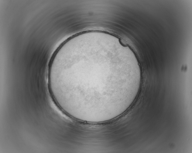 X0000112811084200909111254