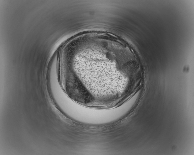 X0000112811085200909111254