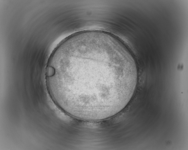 X0000112811086200909111254