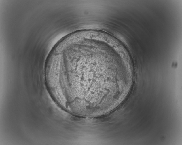 X0000112811087200909111254