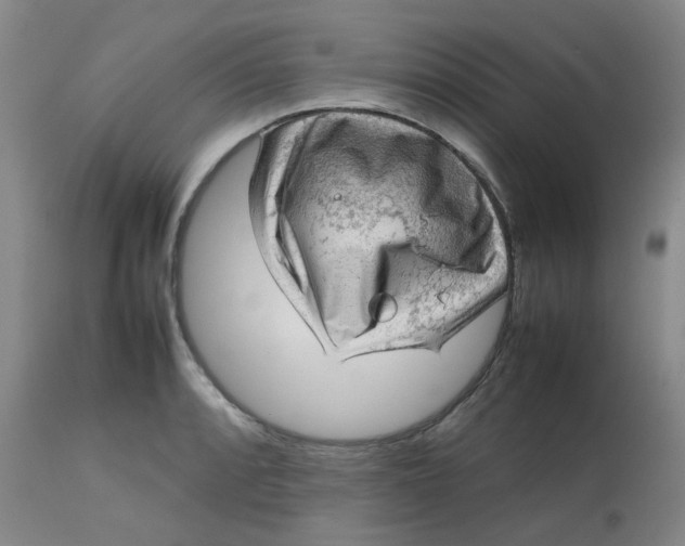 X0000112811088200909111254