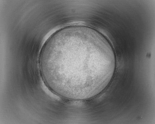 X0000112811090200909111254