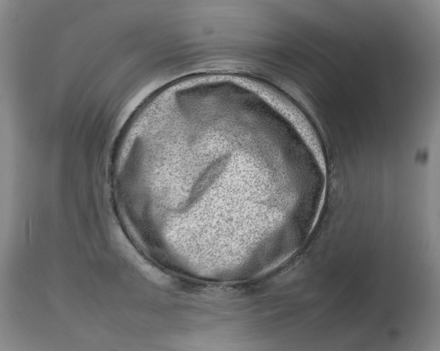 X0000112811091200909111254