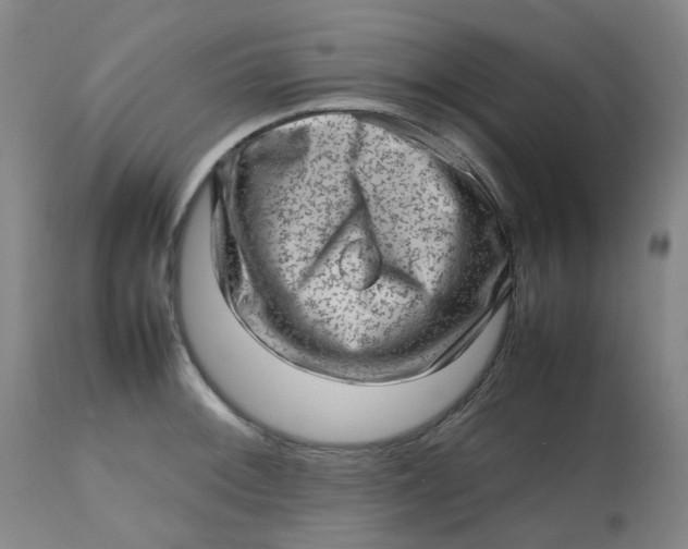 X0000112811092200909111254