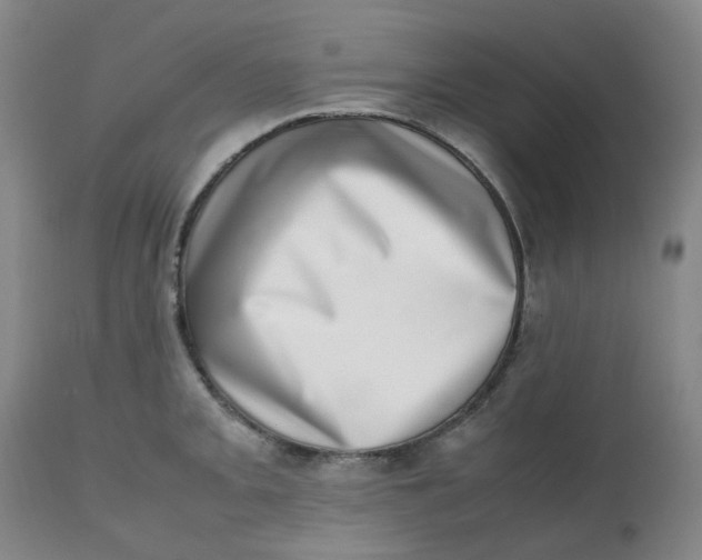 X0000112811093200909111254