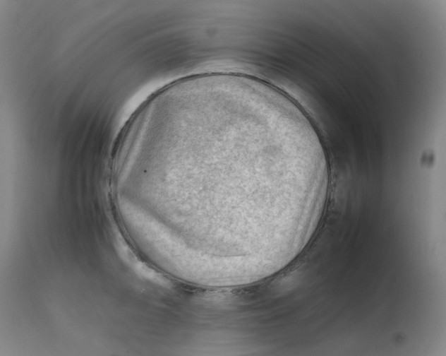 X0000112811094200909111254