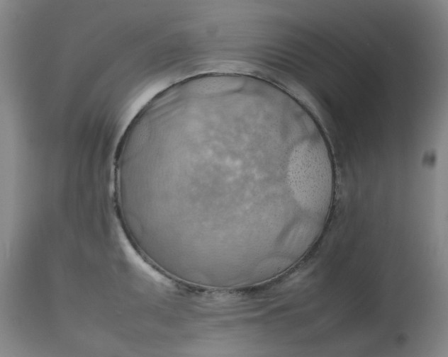 X0000112811095200909111254