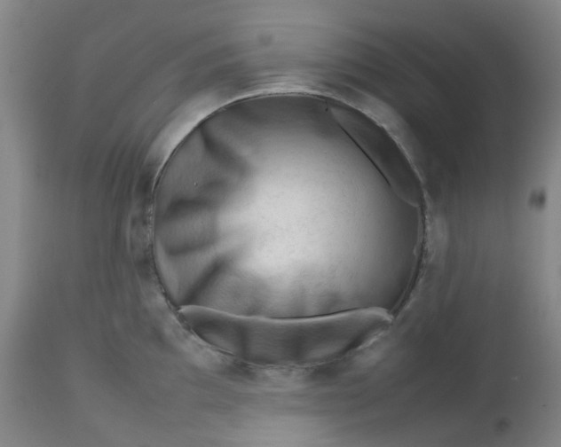 X0000112811097200909111254