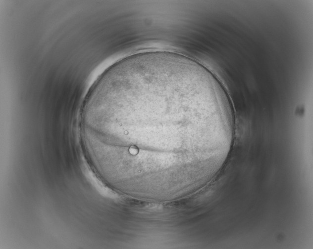 X0000112811098200909111254