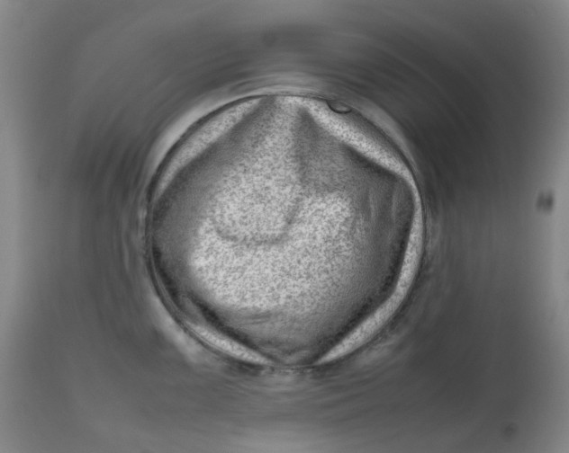 X0000112811099200909111254