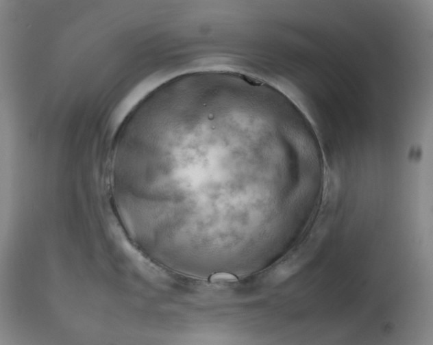 X0000112811101200909111254