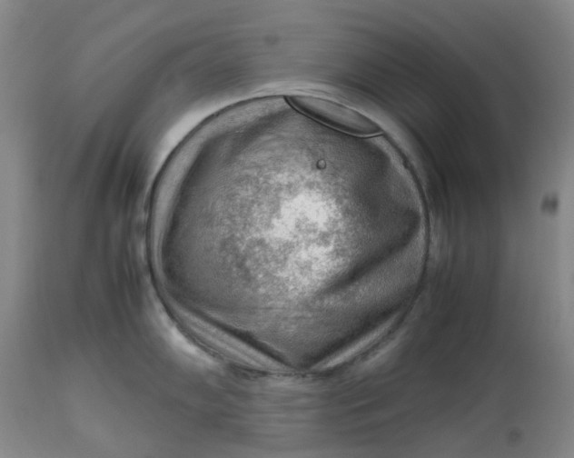 X0000112811102200909111254