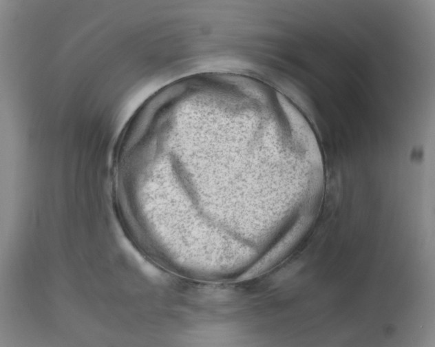 X0000112811103200909111254