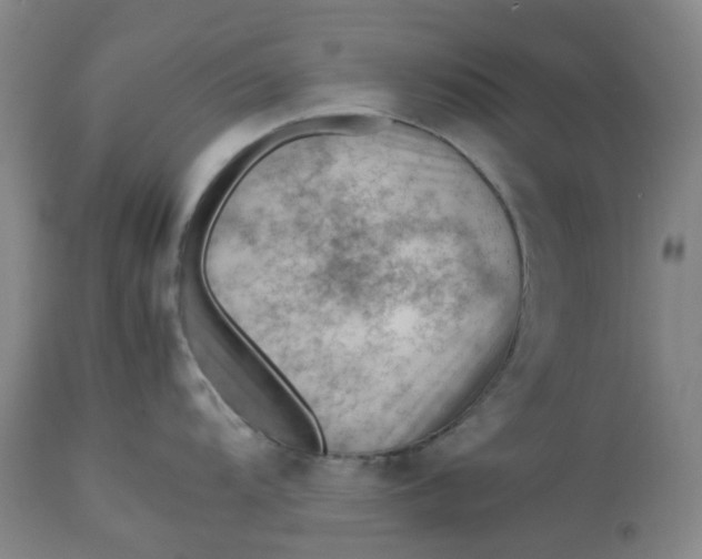 X0000112811104200909111254