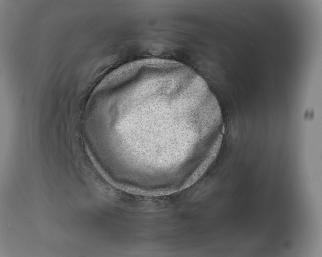 X0000112811105200909111253