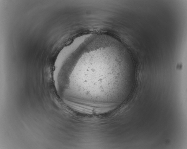 X0000112811106200909111253