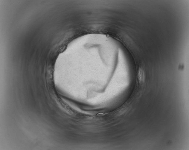 X0000112811107200909111253