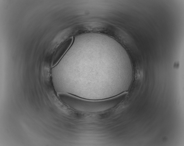 X0000112811108200909111253